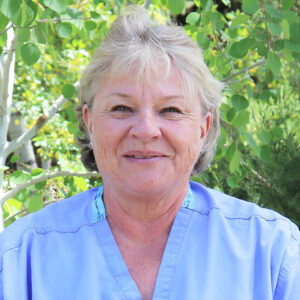 Lori Deltondo