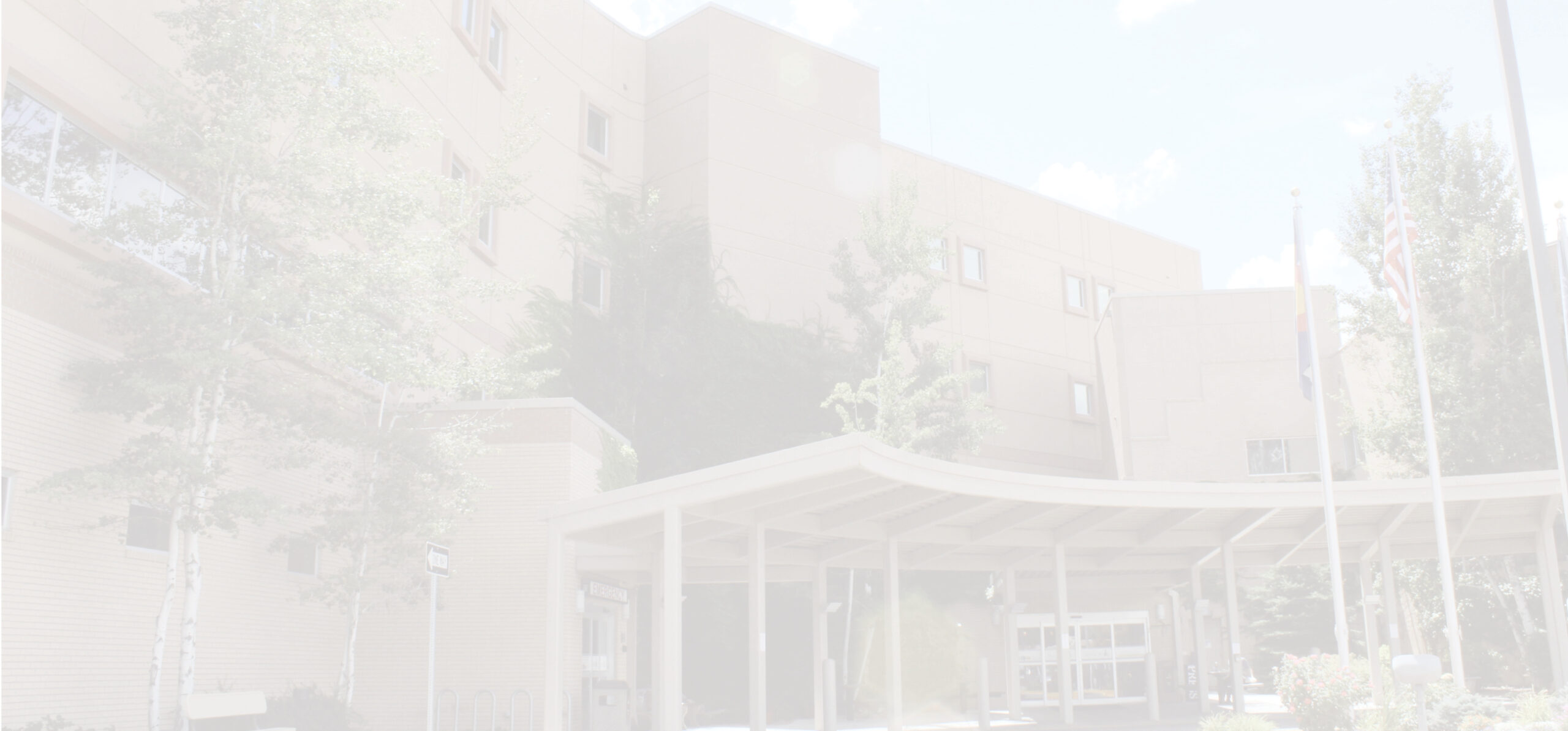 Montrose Regional Health
