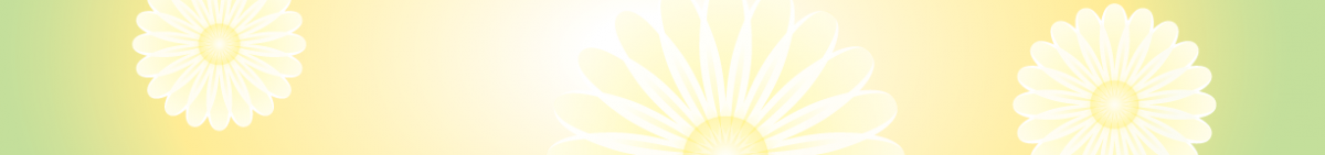 DAISY Boarder